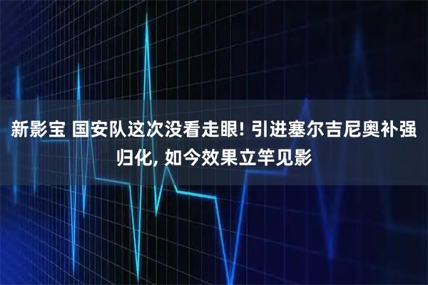 新影宝 国安队这次没看走眼! 引进塞尔吉尼奥补强归化, 如今效果立竿见影